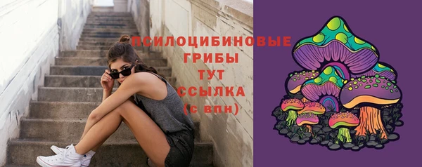 стафф Надым