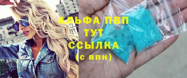 стафф Надым