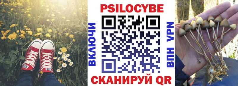 Галлюциногенные грибы мицелий гидра tor Таганрог